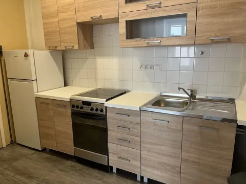 Pronájem bytu 2+1, Praha - Žižkov, Viklefova, 40 m2
