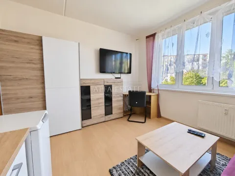Pronájem bytu 1+kk, Karlovy Vary, Fibichova, 18 m2