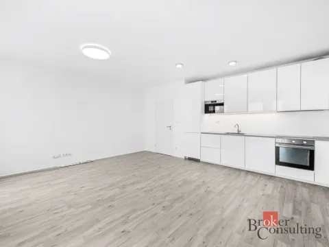 Prodej bytu 1+kk, Plzeň - Jižní Předměstí, Železná, 46 m2