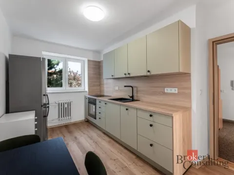 Pronájem bytu 2+1, Jihlava, Vrchlického, 56 m2