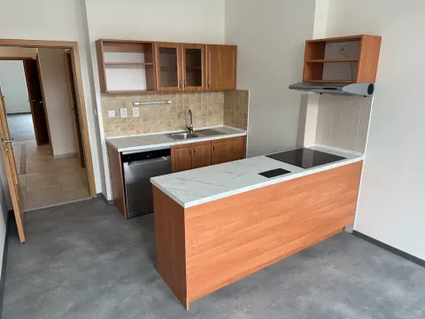 Pronájem bytu 2+1, Ústí nad Labem, Masarykova, 101 m2