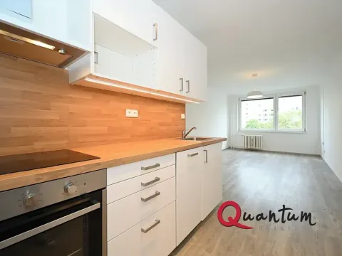 Pronájem bytu 2+kk, Praha - Žižkov, Roháčova, 43 m2