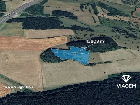 Prodej podílu lesa, Prackovice nad Labem, 2761 m2
