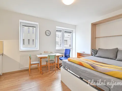 Pronájem bytu 1+kk, Brno, Hostinského, 25 m2