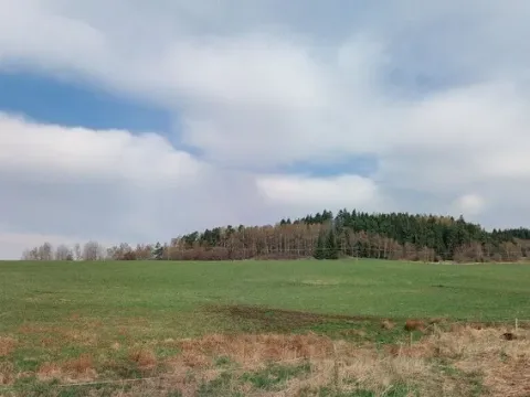 Prodej pozemku, Horní Planá - Žlábek, 47764 m2