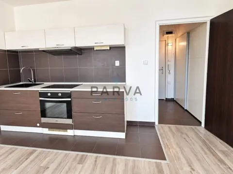 Pronájem bytu 1+kk, Plzeň - Bolevec, Krašovská, 30 m2