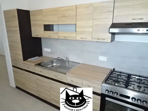 Pronájem bytu 2+1, Příbram - Příbram VII, Pod Čertovým pahorkem, 54 m2