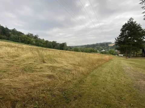 Prodej louky, Brumovice - Úblo, 1160 m2