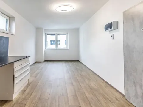Pronájem bytu 1+kk, Mladá Boleslav, 29 m2