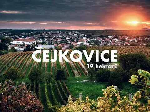 Prodej pole, Čejkovice, 194311 m2