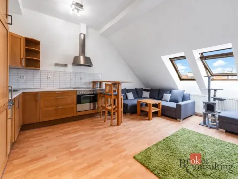 Prodej bytu 2+kk, Praha - Žižkov, Roháčova, 47 m2