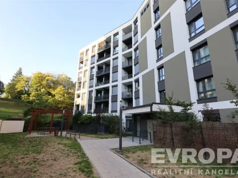 Pronájem bytu 1+kk, Praha - Žižkov, Olgy Havlové, 40 m2
