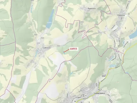 Dražba lesa, Ludkovice, 2302 m2