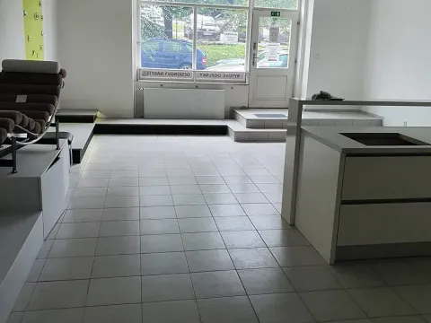 Pronájem obchodního prostoru, Jihlava, Havlíčkova, 60 m2