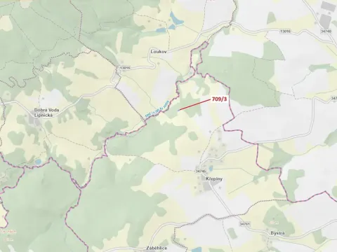 Dražba lesa, Řečice, 350 m2