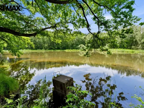 Prodej rybníku, Horčápsko, 12721 m2