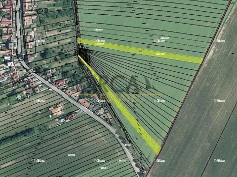 Prodej pole, Moravany, 5395 m2
