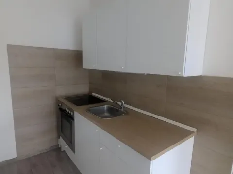 Pronájem bytu 1+kk, Ústí nad Labem - Krásné Březno, Dr. Horákové, 31 m2