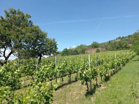 Prodej komerčního pozemku, Mikulov, Zlámalova, 3460 m2