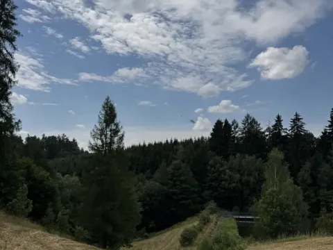 Prodej lesa, Jedlí, 10342 m2