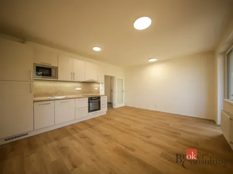 Pronájem bytu 1+kk, Rychnov u Jablonce nad Nisou, Mlýnská, 38 m2