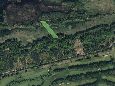 Prodej louky, Lázně Bohdaneč, 10075 m2