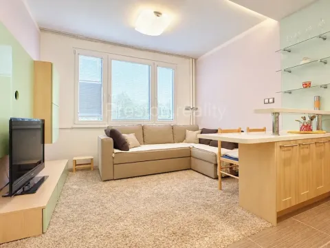 Prodej bytu 1+kk, Písek, 17. listopadu, 19 m2