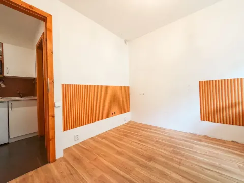 Pronájem atypického bytu, Praha - Michle, Přímětická, 12 m2