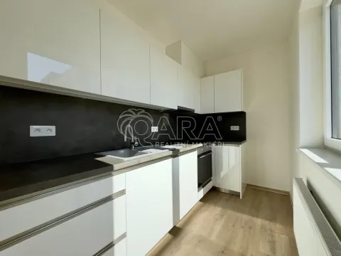 Pronájem bytu 2+kk, Brno - Ponava, Střední, 60 m2