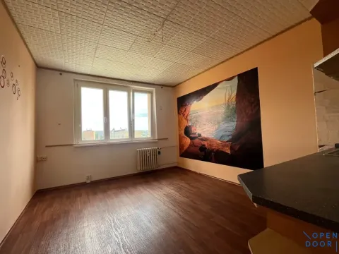 Pronájem bytu 1+kk, Chodov, Čapkova, 21 m2