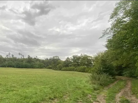 Dražba louky, Potštejn, 950 m2