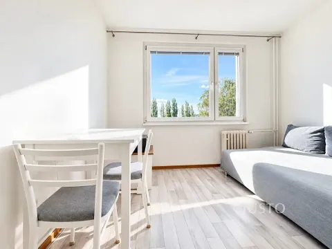 Prodej bytu 1+kk, Ústí nad Labem, SNP, 20 m2