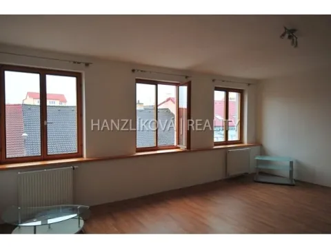 Pronájem bytu 1+kk, České Budějovice - České Budějovice 3, Fráni Šrámka, 30 m2
