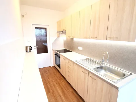 Pronájem bytu 1+1, České Budějovice, Kubatova, 50 m2