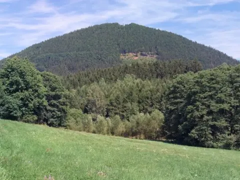 Prodej louky, Bernartice, 13423 m2