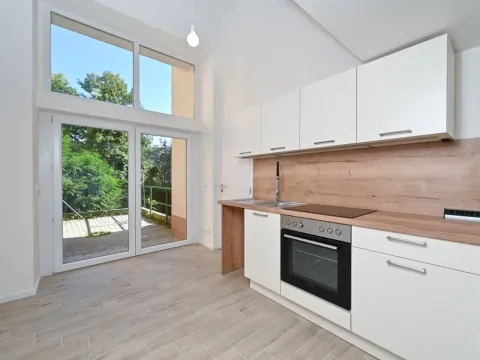Pronájem bytu 1+kk, Brno - Veveří, Mášova, 22 m2