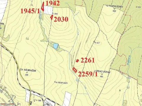 Prodej lesa, Staré Město, 11219 m2