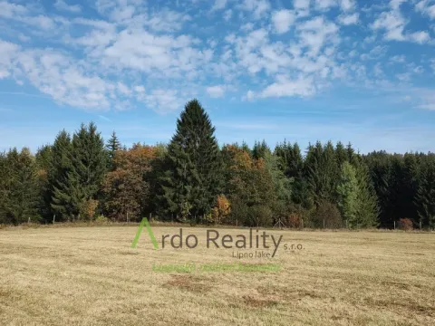 Prodej pozemku, Přední Výtoň, 13285 m2