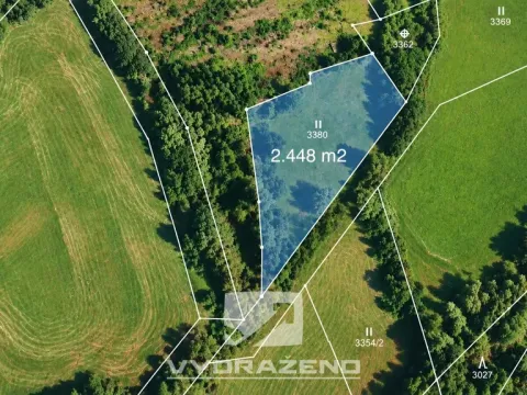Prodej louky, Příkrý - Škodějov, 2448 m2