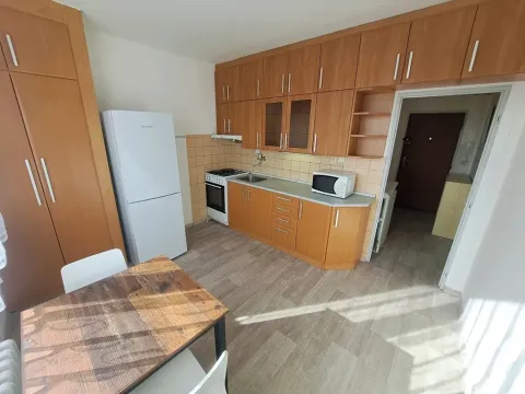 Pronájem bytu 1+1, Hradec Králové, Štefánikova, 40 m2