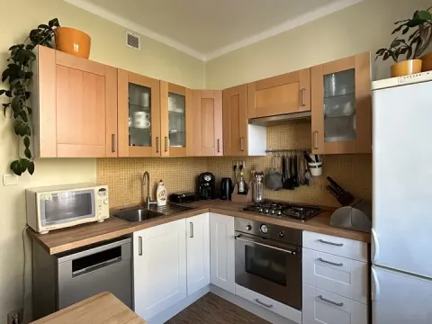 Prodej bytu 2+1, Plzeň - Východní Předměstí, Krejčíkova, 62 m2