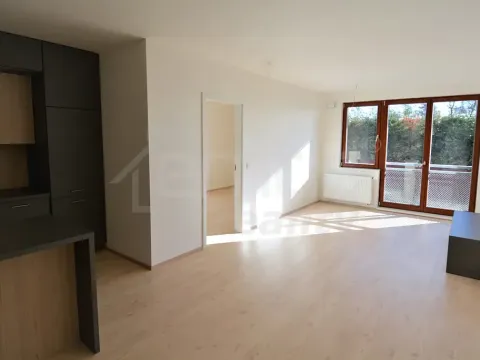 Pronájem bytu 2+kk, Praha, Davídkova, 60 m2
