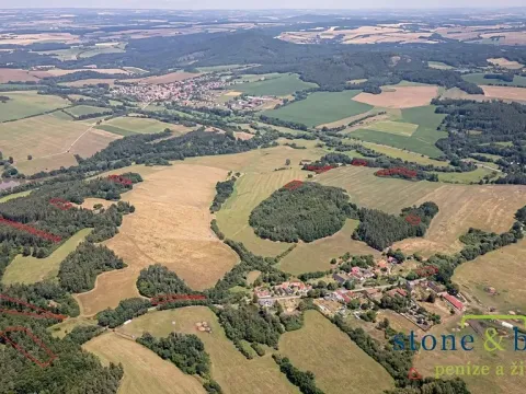 Prodej lesa, Zvěstov, 45954 m2