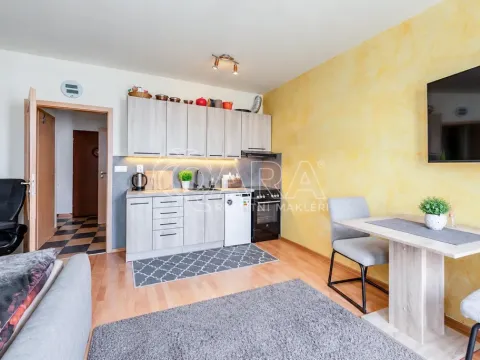 Pronájem bytu 1+kk, Strakonice - Strakonice I, Jezerní, 31 m2