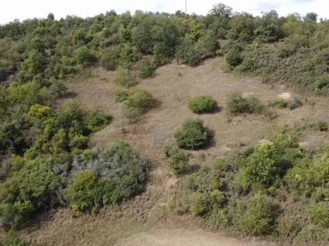 Prodej pole, Řehlovice - Stadice, 22441 m2