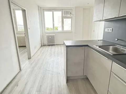 Pronájem bytu 2+kk, Praha - Vinohrady, Hollarovo náměstí, 47 m2