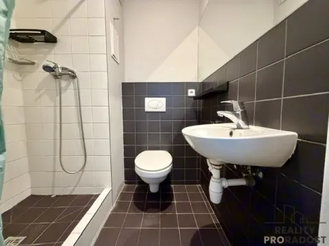 Pronájem bytu 1+kk, Hodonín, Pančava, 17 m2