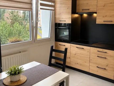 Pronájem bytu 1+1, Plzeň, Rabštejnská, 39 m2