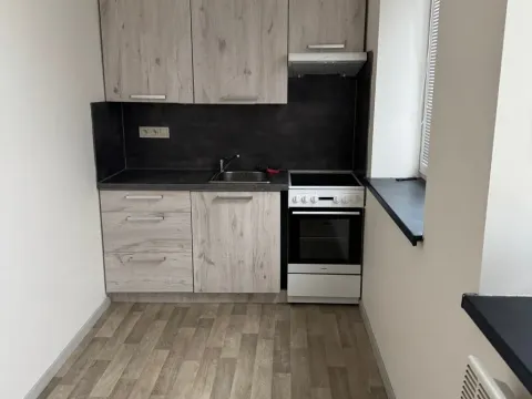 Pronájem bytu 1+1, Opava - Předměstí, Rybářská, 26 m2