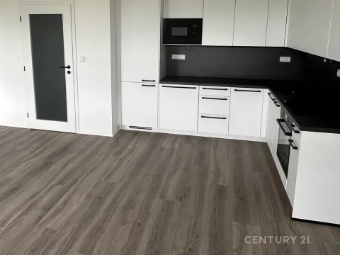 Pronájem bytu 2+kk, Plzeň, Františka Kováříka, 61 m2